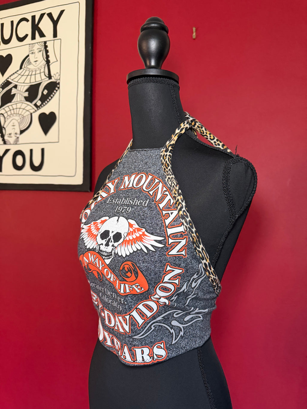 HD CHEETAH HALTER